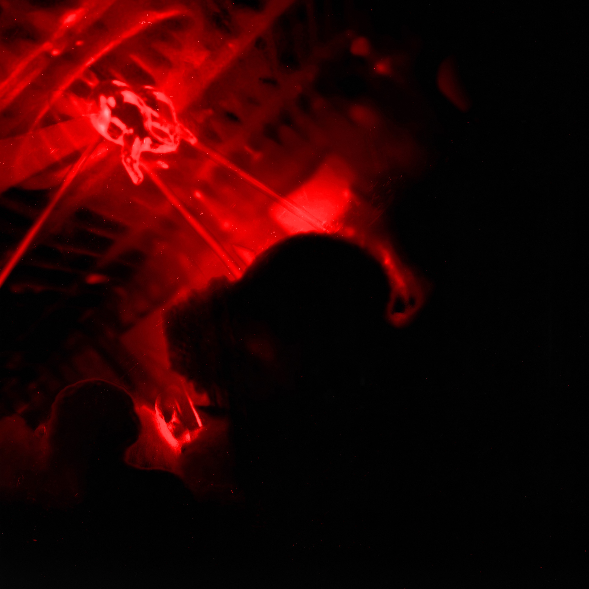 Cover art for A01 Divi rot