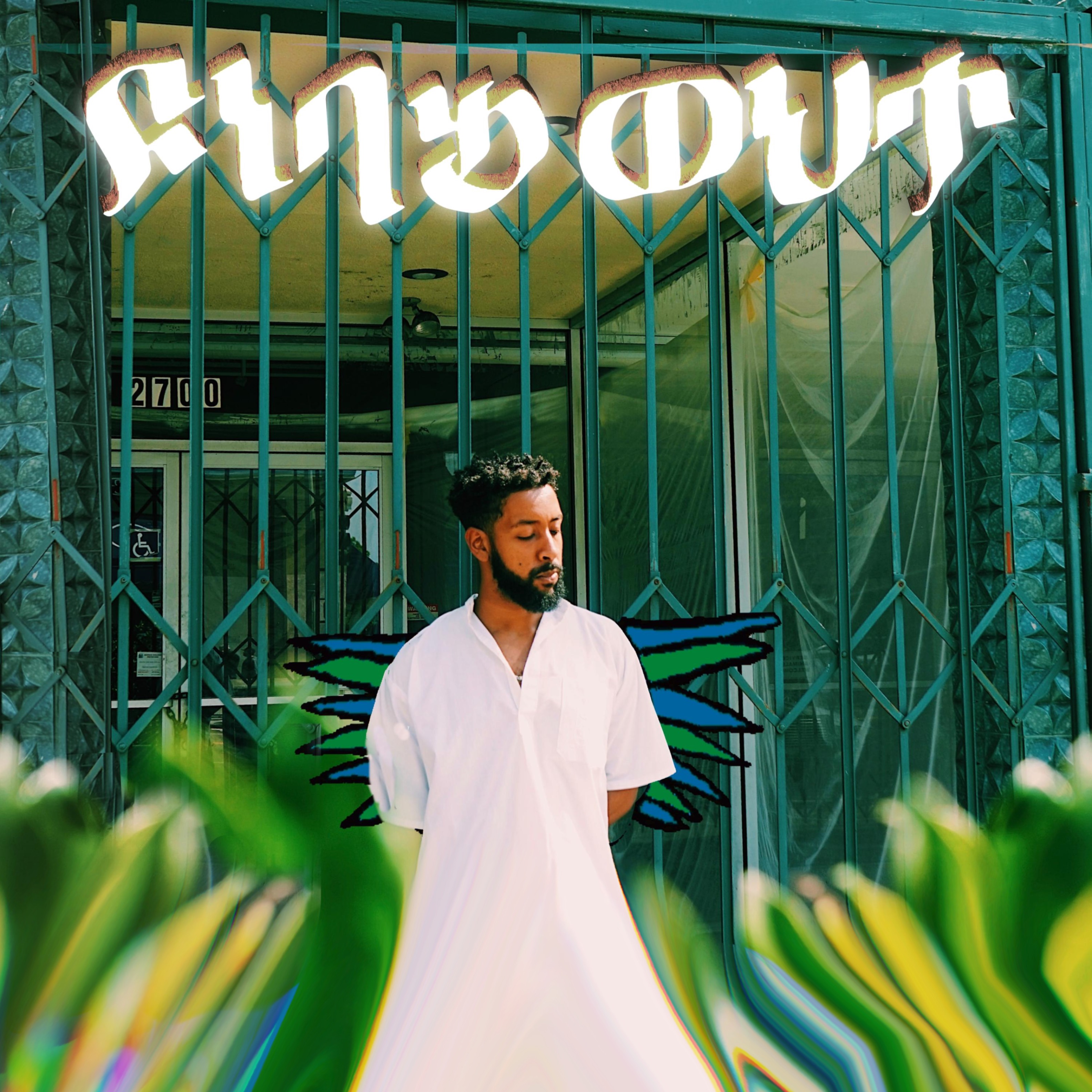 Cover art for Find Out