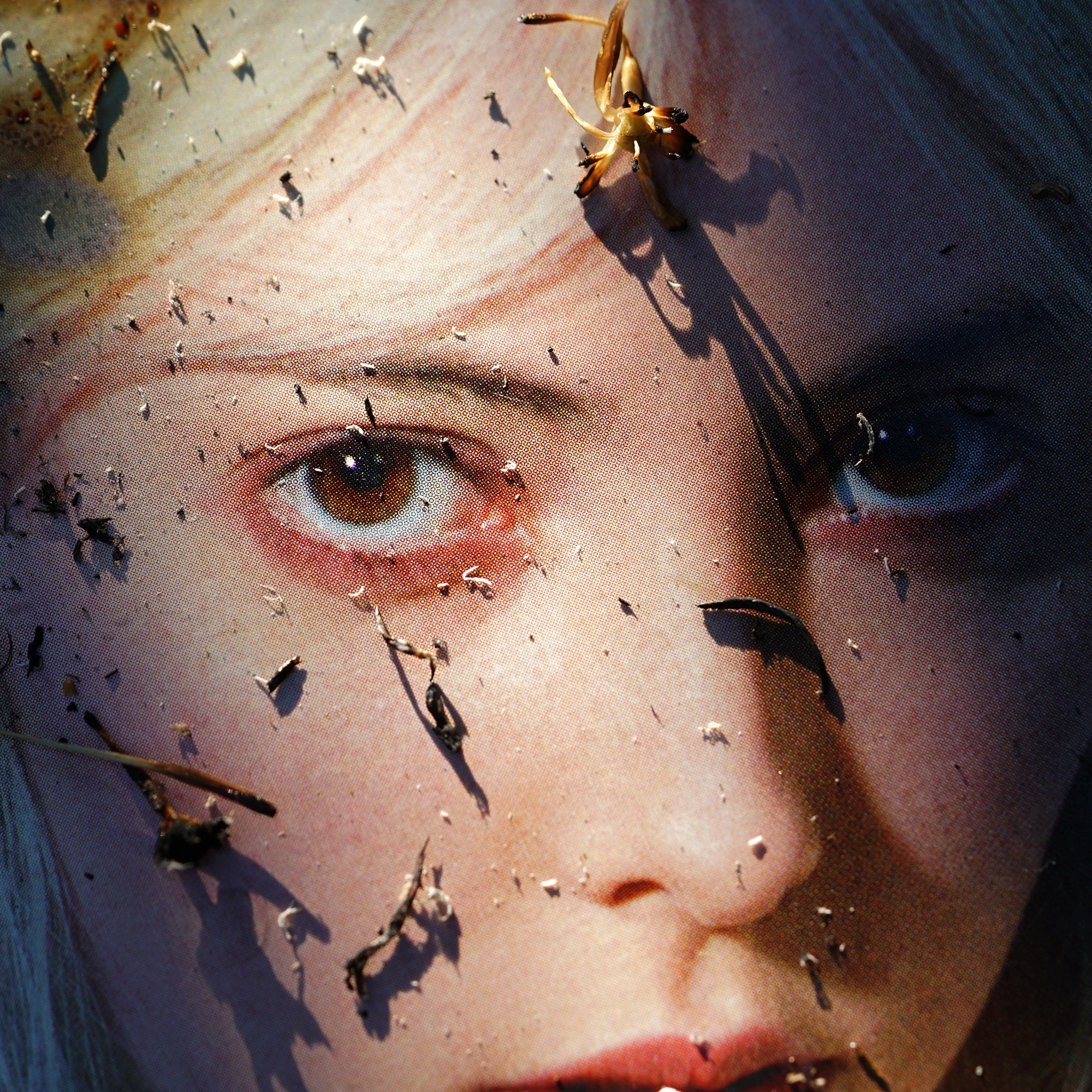 Cover art for No Shadow